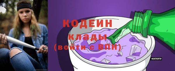 винт Лагань