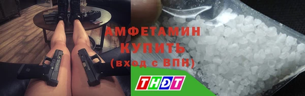 винт Лагань