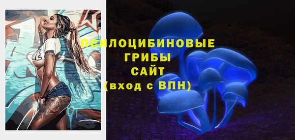 винт Лагань