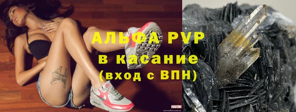 винт Лагань