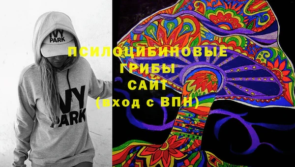 мяу мяу мука Ладушкин