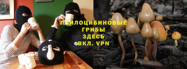 мяу мяу мука Ладушкин