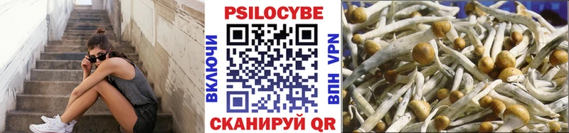 Галлюциногенные грибы ЛСД  Купить закладки  Заводоуковск 